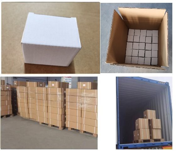 product-583-497 product-583-497