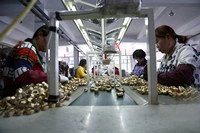 product-200-133 product-200-133